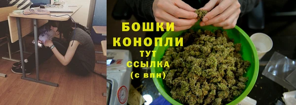 трава Мегион