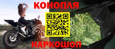гашик Кандалакша