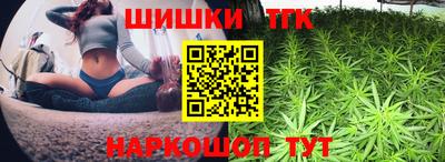 гашик Кандалакша