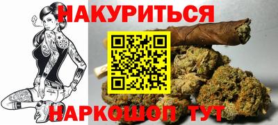 гашик Кандалакша