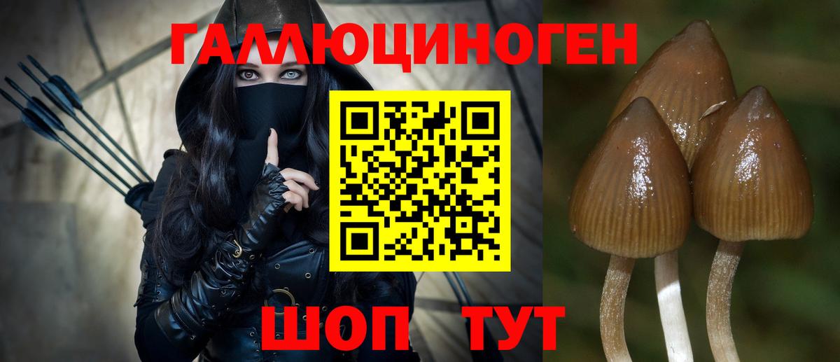 Псилоцибиновые грибы прущие грибы Фурманов
